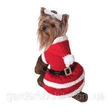 Платье теплое новогоднее, толстовка "санта" для собаки. длина 25 см фото №1