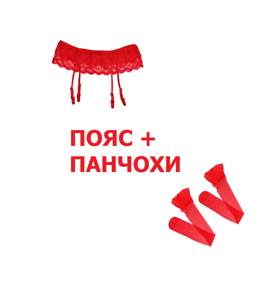 Комплект: мереживні панчохи та пояс для панчіх. пояс и чулки. гартер и заколенки фото №1