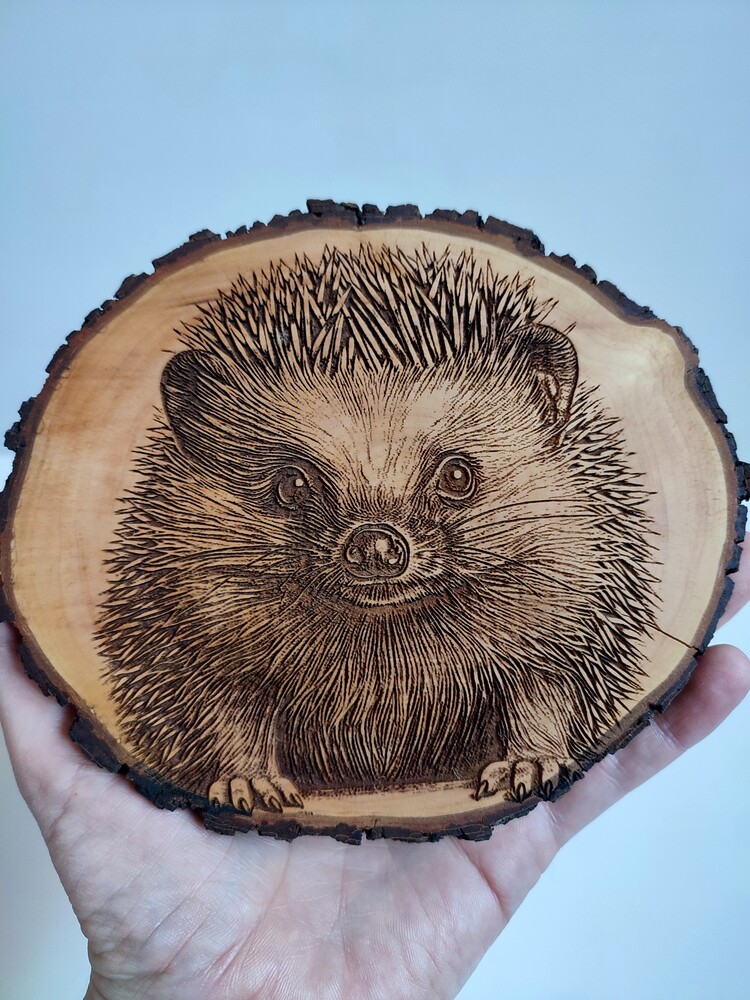 Картина на срезе дерева дуб ёжик ёж handmade декор ➡️ размер 13 х 15см фото №1